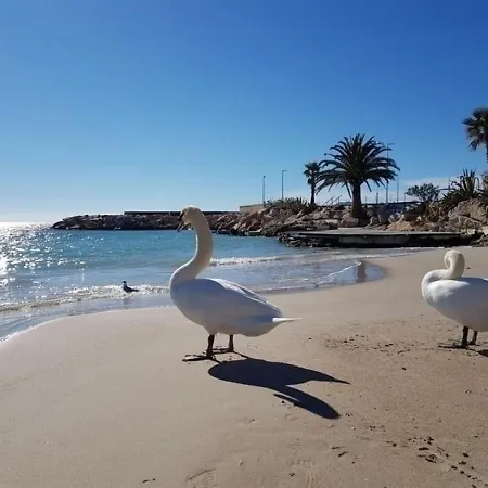 Cannes, 2 Pieces, 4 Personnes - Fr-1-470-7 Cannes